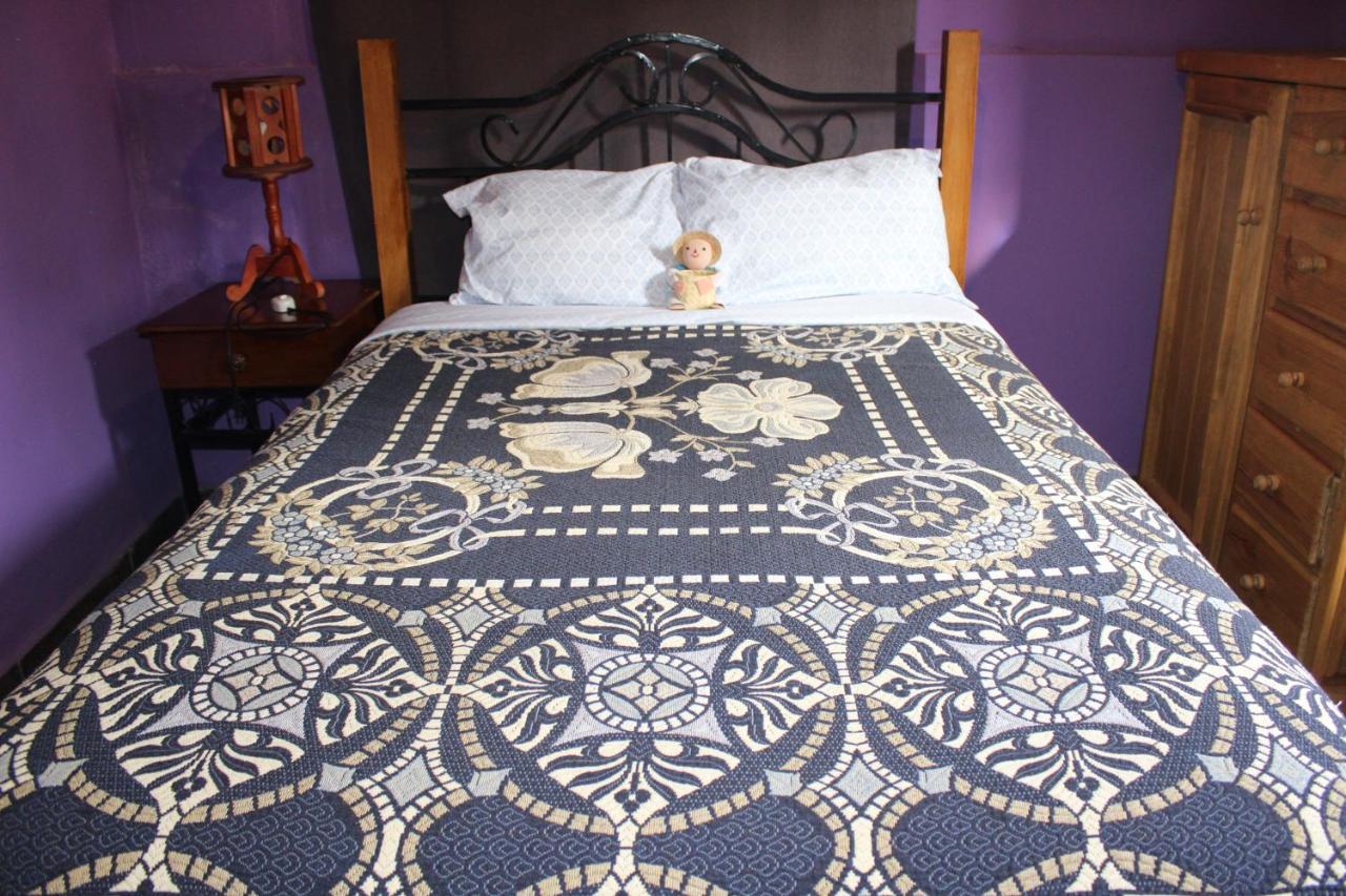 Casa Jardin Villa Guanajuato Kültér fotó